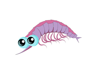 Funny Shrimp animals cartoon character design flat illustration logo minimal object ocean life pink prawn seacreature seafood shimp underthesea underwater world vector violet