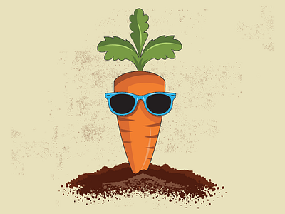 Carrot Illustration carrot