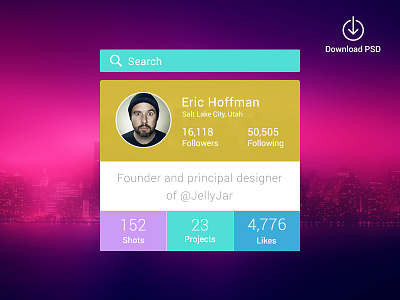 Designer Profile Widget