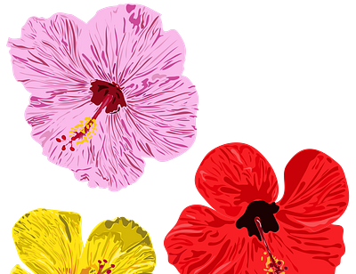 Fresh Hibiscus flower flower illustration fresh hibiscus illustrator pattern shading summer