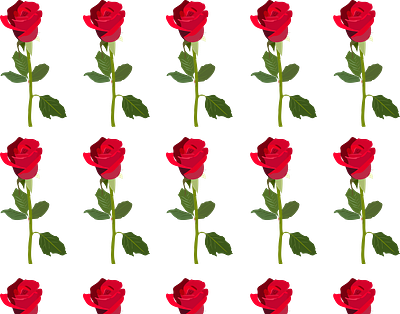 rose pattern beautiful flower illustration illustrator love pattern rose roses valentine valentine day