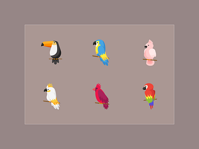 Color flat icons: Exotic birds