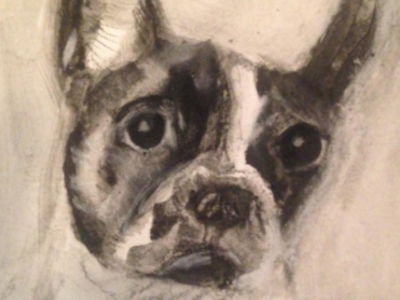 French Bulldog, Charcoal animal drawing animal illustration bulldog dog french bulldog illustration pet portrait portrait