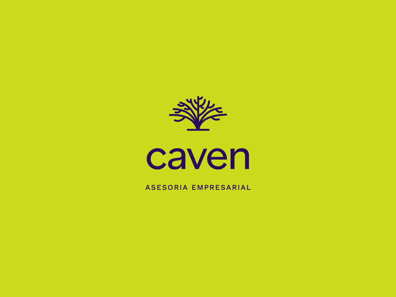 caven accounting advisor brand brand design brand identity branding business concept logo design flat logo