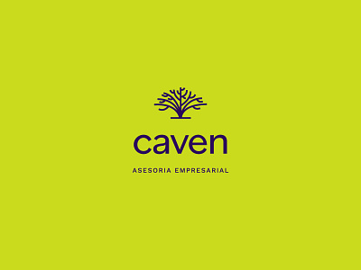 caven accounting advisor brand brand design brand identity branding business concept logo design flat logo