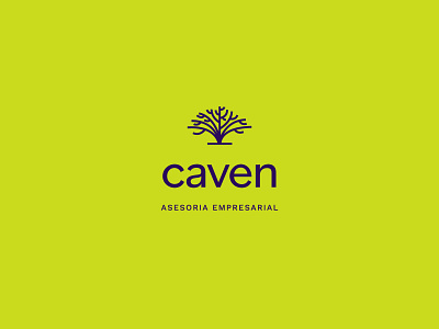 caven accounting advisor brand brand design brand identity branding business concept logo design flat logo