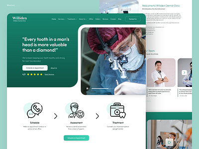 Dental Office Website Design branding creative dental dentist webdesign website