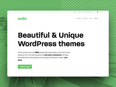 New Evolve website clean development flat typography wordpress
