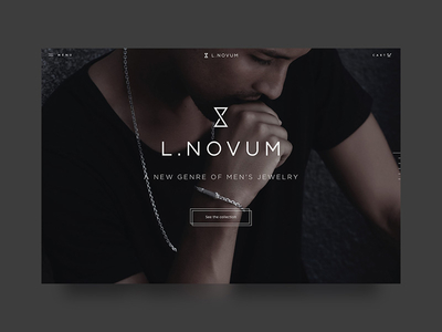 L.Novum Website accessories design e commerce hero header jewelry photo ui ux