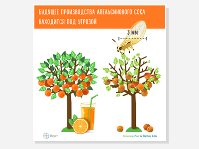 orange danger graphic illustration infographics orange pattern