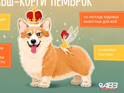 Corgi-riding animals for fairies.