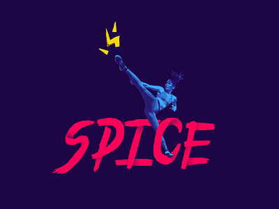 Spice branding logo typography