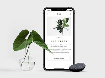 Discover app clean design glass iphonex mobile plant stone trend ui ux white