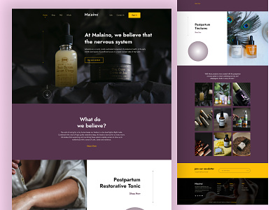 Cosmetics Website Design