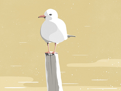 Seagull study