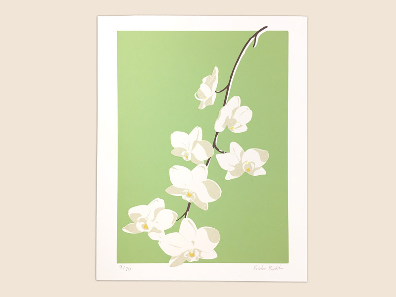 white orchid green screenprint print orchidee orchid