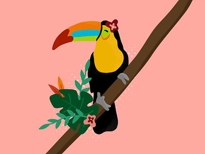 Toucan 🌺 2020 2021 adobe adobe illustrator creative creativity cute design dribbleweeklywarmup fresco illustration pink sweet toucan