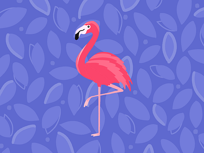 Flamingo 🦩