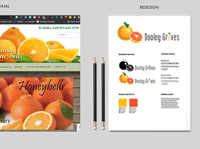 Rebranding Dooley Groves brand identity branding design illustration logo vector