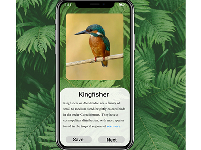 Bird Sighting App Design