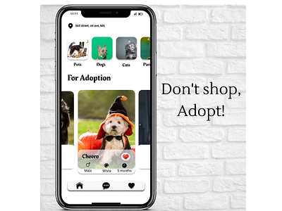 Animal Adoption App Design app branding design icon illustration ui ux