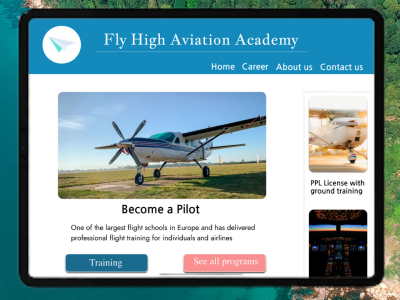 Aviation web design