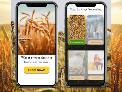 Wheat from farm to doorstep app design 3d animation app branding design graphic design icon illustration logo motion graphics typography ui ux vector