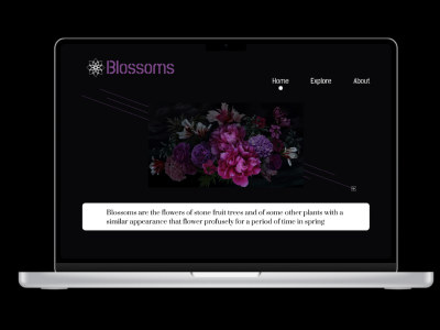 Blossoms web app design