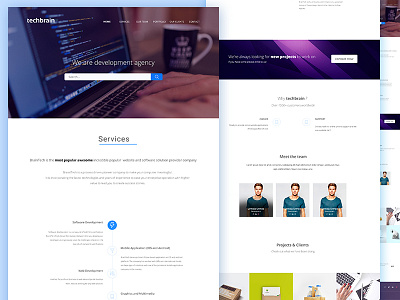 Techbrain Landing Page