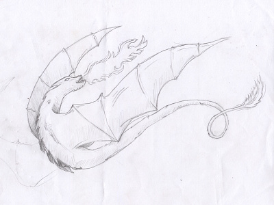 Dragon Sketch dragon paper pencil sketch