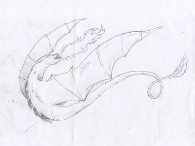 Dragon Sketch