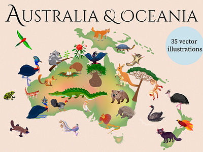 Australia and Oceania animals bundles clip arts creative market design flora and fauna of australia graphic design posters stylish illustrations vector