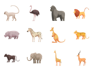 Zoo Elements animals assets icon icons icons set illustration zoo