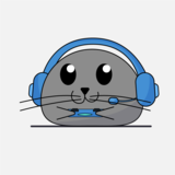 Camilo Andres Nuñez Salazar