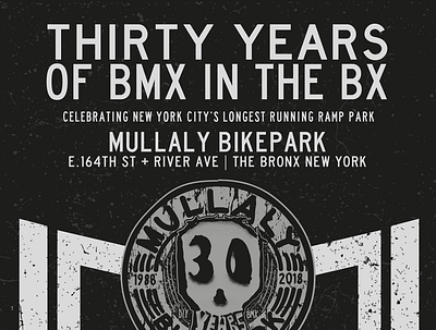 Mullaly 30th anniversary flyer branding illustrator poster poster design