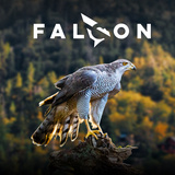 FALCON Design