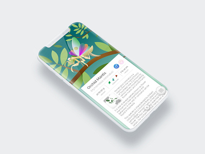 To the Zoo - Illustrated UI - Orchid Mantis ilustration ui ui design uidesign uiux uxdesign