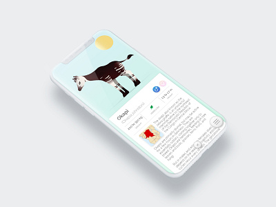 To the Zoo - Illustred UI - Okapi ilustration ui uidesign uiillustration uiux uxdesign