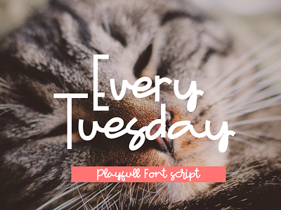 Every Tuesday alphabet characters creative design display font fun funny kids letter line lowercase modern monoline numeric playfull punctuation type typography uppercase