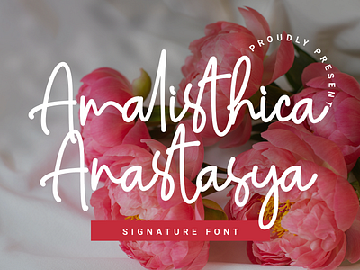 Amalisthica Anastasya Signature Font Script alphabet characters creative design display font fun funny kids letter line lowercase modern monoline numeric playfull punctuation type typography uppercase