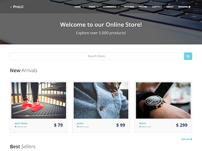 ProUI Frontend - Store admin ecommerce frontend store template ui design user interface