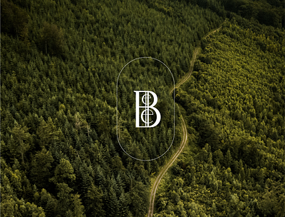 Belle brand identity branding design elegant graphic design illustration logo luxury vector