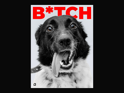 B*TCH design design process dog doggo doggy graphic design poster poster a day poster art poster design sexy typography
