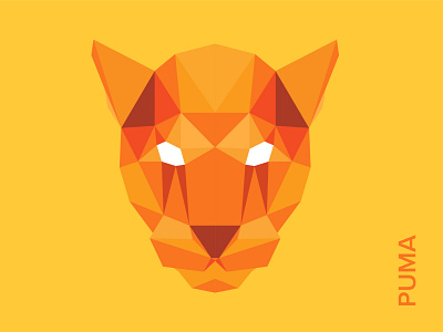 Puma Geometry 3 art design illustration illustrator logo