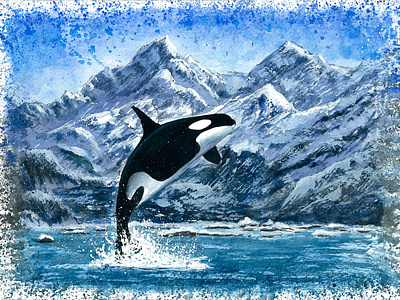 Killer whale Watercolor illustration