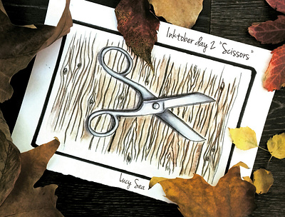 2 Scissors bookillustration design illustration illustrator nature illustration poster print typography watercolor