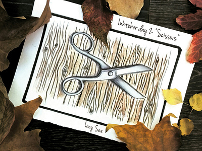 2 Scissors