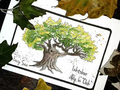 Oak bookillustration design illustration illustrator nature nature illustration poster print typography watercolor