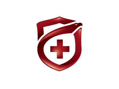 Safety and healthcare logo branding cross eagle health logo shield
