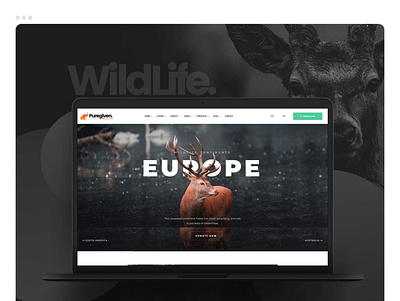 Best Wildlife WordPress Theme branding charity church design donation events graphic design illustration logo ngo ui web design weldlife template wildlife
